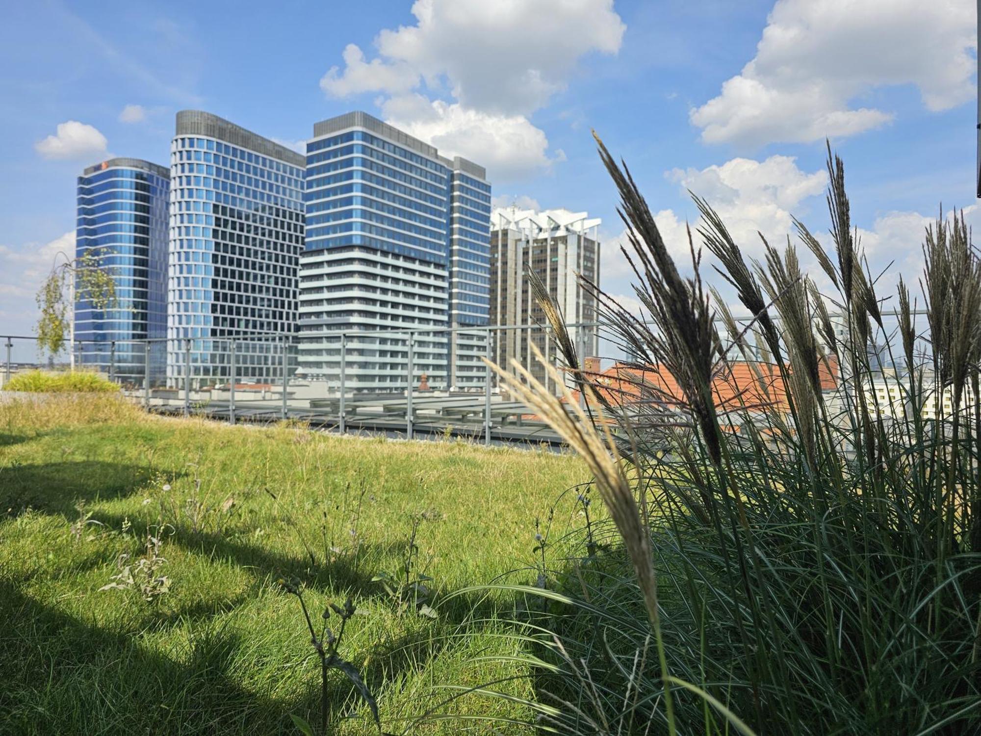 URBAN APARTMENTS Premium Opolska 10 Nr 69 Plus 2 Garages Kattowitz Exterior foto